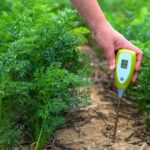 Bagaimana pH Mempengaruhi Pertumbuhan Tanaman Dalam Pertanian